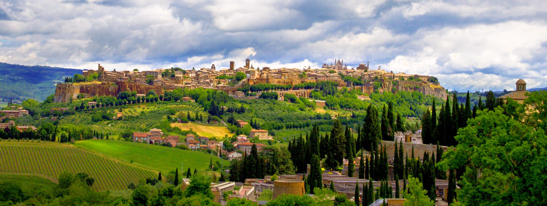 Wine Tasting Tours to Orvieto Winery from Rome
