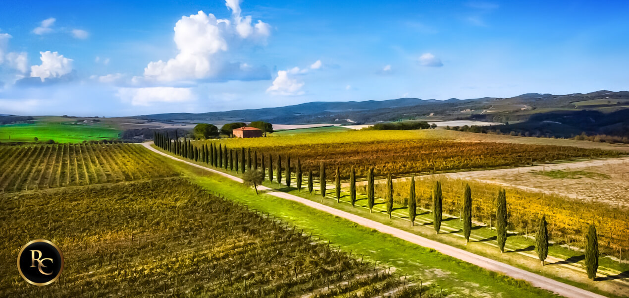 Castles and Vines Tuscany Wine Tour from Rome Chauffeur
