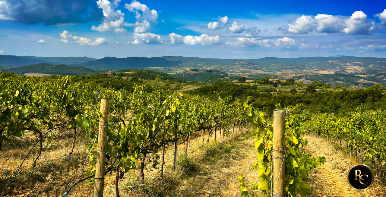 Post Cruise Orvieto and Winery Wine Tour from Civitavecchia