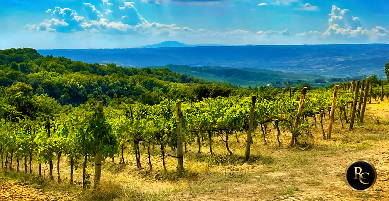 Orvieto Wine Tasting Shore Excursions from Civitavecchia