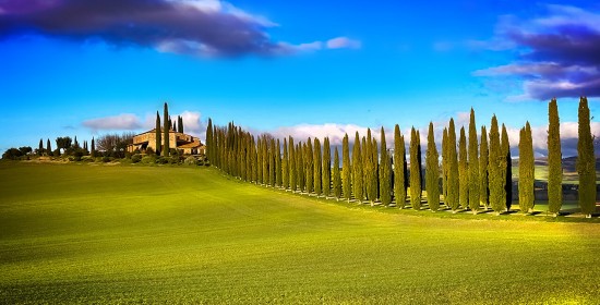 Splendor of Tuscany Tour from Rome